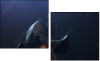 68921322
