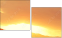 69150407