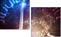 70252580