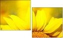 70553705