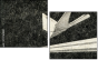 70764881
