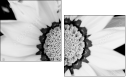 71181016