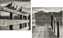 72072664