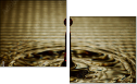 73056406