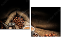 74493123