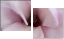 75397074