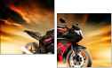 75568726