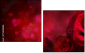 75608886
