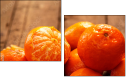 76269505