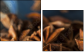 78130865