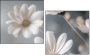877089715