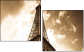 9077030