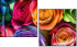 913577319