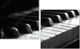 933937739