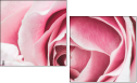 95247840