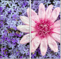 100402580