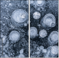 140346351