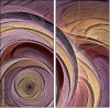 14308380