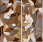 223892600