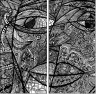 229082617