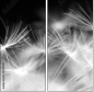 23180311