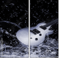 41836378