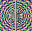 43418541