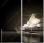47091704