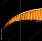 50197019