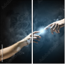 55886651
