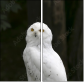57060206