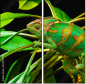 57907029