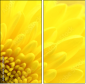 57915870