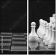 64265045