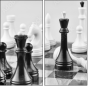 64265081