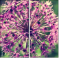 65874954