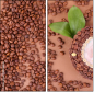 68206263