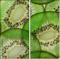 78577804
