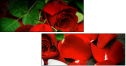 100197651