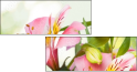 100541576