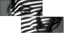 1009755653