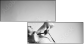 11330269