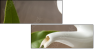 11542609