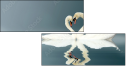 12112158