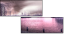 12551522