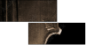 13267371