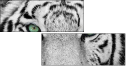 13468757