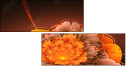 138305890