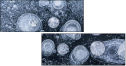 140346351
