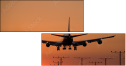 1443651